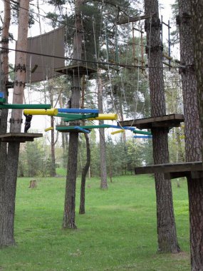 Bahar günü Avrupa açık hava orman halat parkı - aktif spor eğlencesi tırmanışı