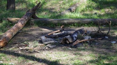 Yeşil Doğu Avrupa ormanlarında kesilen odunları olan boş bir şömine. Bir yaz günü yakın plan, açık hava piknik eğlencesi, terk edilmiş kamp alanı şömine güvenliği.