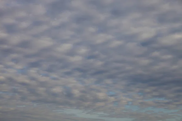 Schöne Graublaue Himmel Mit Muster Fedrigen Wolken Textur Für Hintergrund — Stockfoto