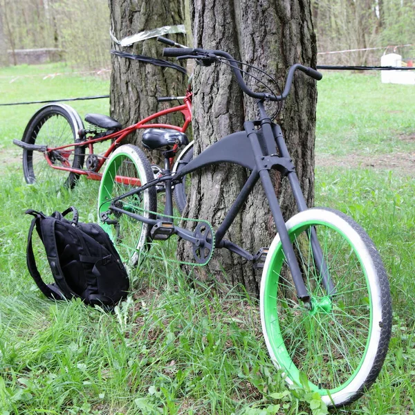 Két Régi Egyedi Kerékpárok Kézzel Készített Keret Közelében Erdő Zöld — Stock Fotó