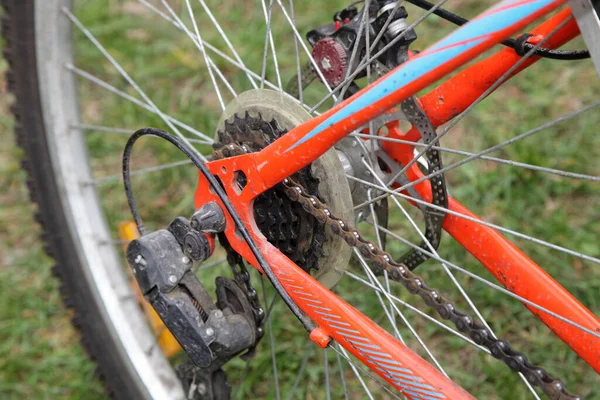 Old red bicycle chain gear selector with 6 speed cassette, hardtail mountain bike rear wheel close up with perforated mechanical brake disc front side view on green grass background at summer day