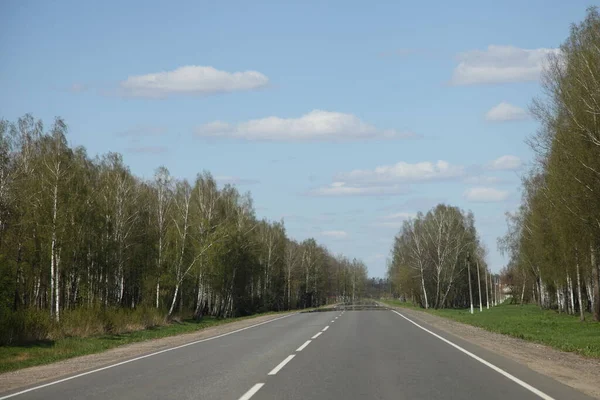 Piękny Niekończący Się Pusty Asfalt Dwukierunkowy Autostrady Brzozy Las Poboczach — Zdjęcie stockowe