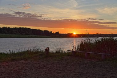 Rusya 'nın güzel doğal nehir manzarası Volga Nehri' nde gün doğumunda ufukta turuncu güneş, kumlu sahil, sakin su ve yaz sabahı mavi sarı gökyüzü.