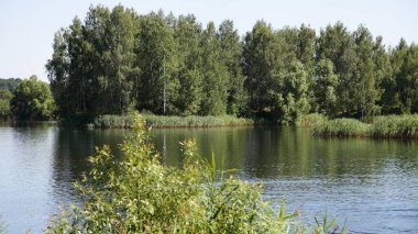 Güneşli yaz gününde kıyılarında yeşil ağaçlar olan güzel kırsal göl, ekolojik Doğu Avrupa doğal manzarası