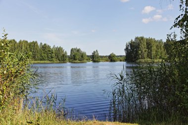 Güzel, vahşi göl manzarası su ve yeşil orman uzak sahillerde güneşli yaz gününde mavi gökyüzü arka planında, ekolojik Doğu Avrupa doğal manzarası