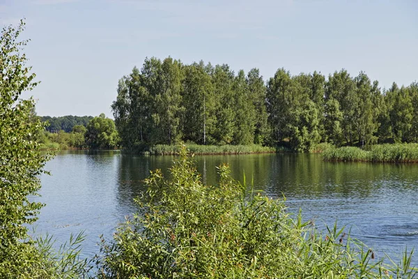 Hermoso Lago Campo Con Árboles Verdes Las Orillas Del Soleado — Foto de Stock