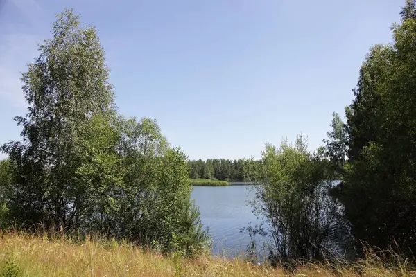 Prachtig Uitzicht Door Bomen Naar Het Landelijke Meer Met Groen — Stockfoto