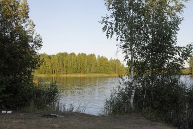 Ağaçların arasından güzel bir manzara, gölgeli bir göl, uzak sahillerde yeşil bir orman, güneşli bir yaz akşamı, ekolojik Batı Rus doğal manzarası.