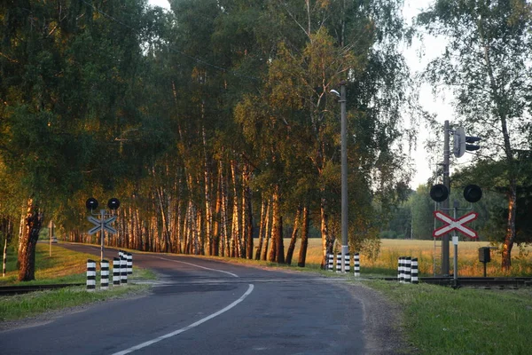 郊外の空のアスファルト道路は 黄色の太陽が背景に輝く夏の夜と白樺の木で晴れた夏の夜に規制されていない1つの方法で鉄道の交差点 美しいロシアの鉄道風景にビューをオンにします — ストック写真