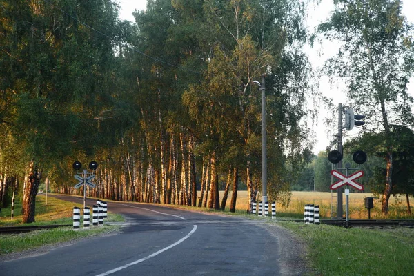 Suburbano Vacío Regulado Ferrocarril Unidireccional Que Cruza Asfaltado Vista Carretera —  Fotos de Stock