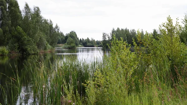 Beautiful Wild Lake View Calm Water Mirror Green Forest Far — Foto de Stock