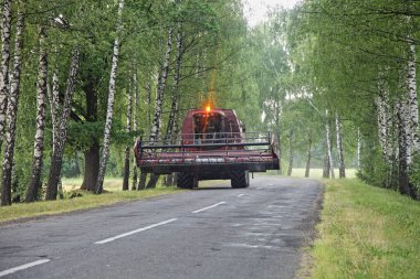 Hasat aracı, yaz günü köydeki Birch ağaçlarının arasındaki asfalt yolda sarı flaş flaş ile birleşir. Hasat, tarım, Belarus 'ta tarım.