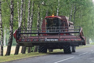 Hasatçı, yaz günü köydeki Birch ağaçları arasındaki kırsal asfalt yolda sürüşü birleştiriyor - hasat, tarım, Doğu Avrupa 'da tarım.