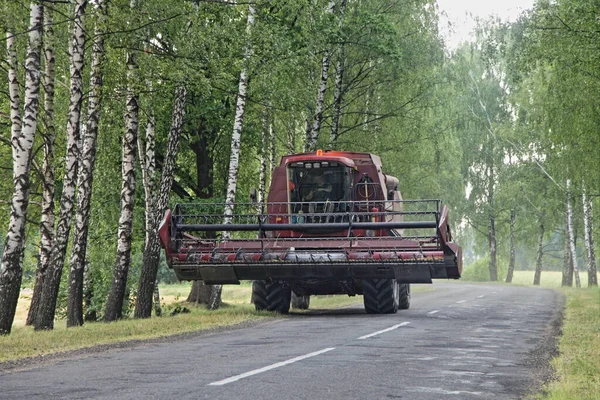 Uma Colheitadeira Combinar Unidade Estrada Asfalto Rural Entre Árvores Bétula — Fotografia de Stock