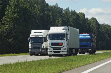 Avrupai kamyonlar, yeşil orman ve mavi bulutlu gökyüzü arka planı, trafik manzarası üzerinde Sunny yaz gününde banliyö otoyolunda yaklaşan trafiğe ön taraftan bakıyorlar.