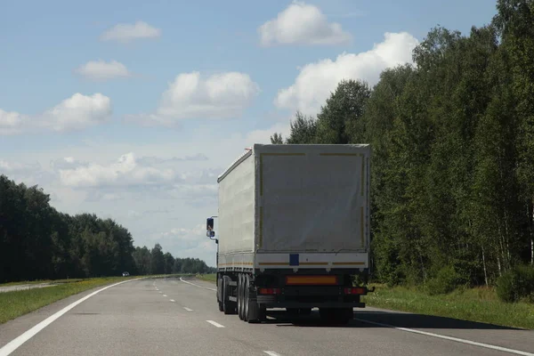 Caminhão Semi Europeu Mover Estrada Rural Dia Ensolarado Verão Floresta — Fotografia de Stock