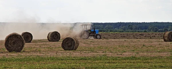러시아에서 수확하는 아마포 수확꾼 은가을에 뭉치를 가지고 — 스톡 사진