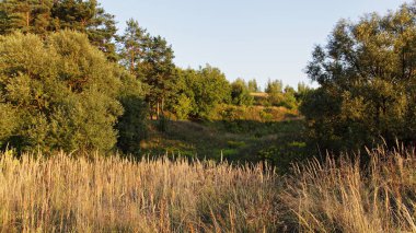 Kurumuş, kurumuş nehir yatağında kuru çimenler güneşli bir sonbahar akşamında berrak mavi bir gökyüzü, Batı Rusya 'nın güzel kır arazisi.