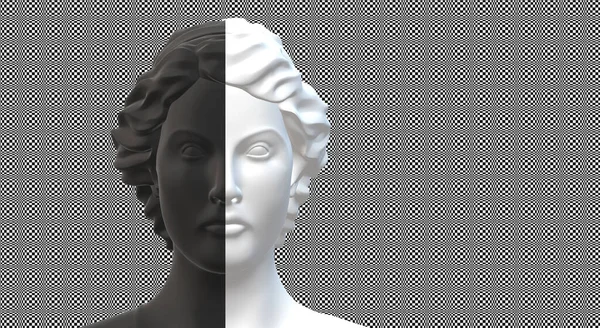Personalità Bipolare Concetto Personalità Divisa Silhouette Femminile Bianco Nero Sfondo — Foto Stock