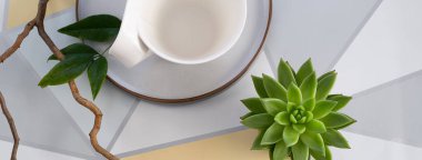 İskandinav Flatlay kompozisyon tasarımı iç mimarisi. Pastel arkaplan, düz uzanmış ölü yaşam