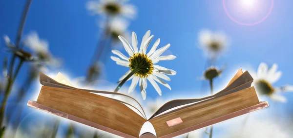 Dünya kitabı günü. Uluslararası Edebiyat. Tebrik kartı. Çiçek arkaplanlı güneşli bir kitap. Bilgi önemi için eğitim kavramı
