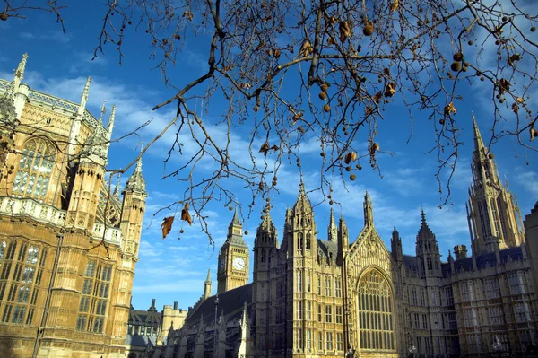 Stadtbild von Big Ben und den Häusern des Parlaments — Stockfoto