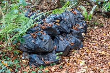 Plastik şişeler ve fincanlar içeren siyah plastik çöp torbaları ve kırsal çevreyi kirleten dikkatsiz çöp torbaları ve teneke kutularla dolu kağıt ambalajlar.