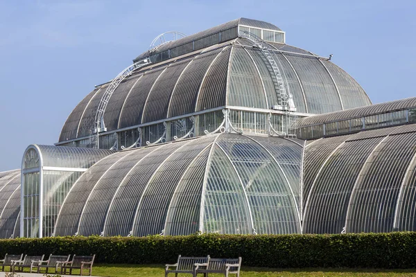 Great Palm House Kew Gardens London England Storbritannien Ett Viktorianskt — Stockfoto