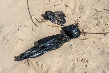 Birleşik Krallık sahilinde, çevresel hasara ve okyanus kirliliğine yol açacak siyah plastik bir torba içinde köpek dışkısı atığı.