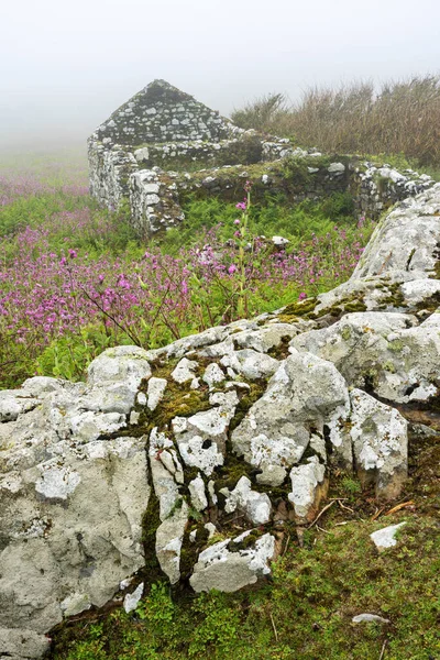 Antiguo Paisaje Construcción Granja Skomer Island Pembrokeshire Gales Del Sur — Foto de Stock