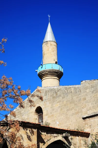 Selimiye мечеть. Нікосія — стокове фото
