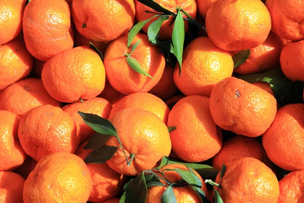 Fresh orange Mandarins — Stock Photo, Image