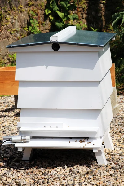 Witte bee hive — Stockfoto