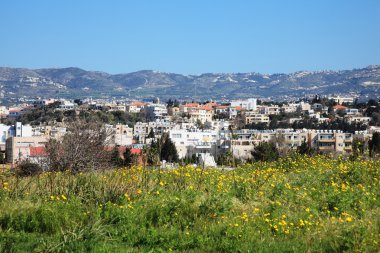 A view of a Coral beach in Paphos