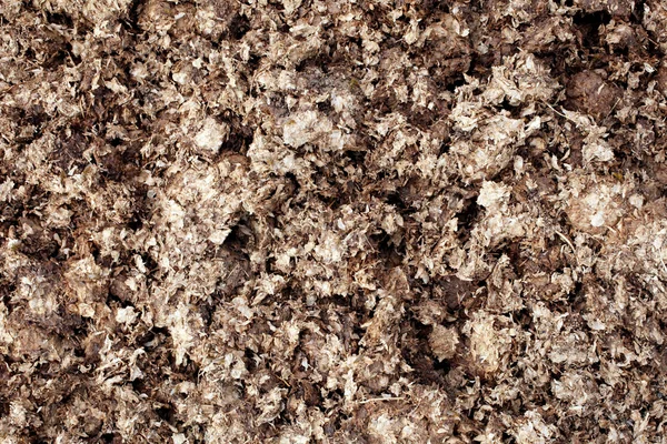 Horse Manure Background — Stock Photo, Image