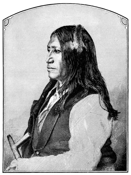 Cauda manchada um índio nativo americano — Fotografia de Stock