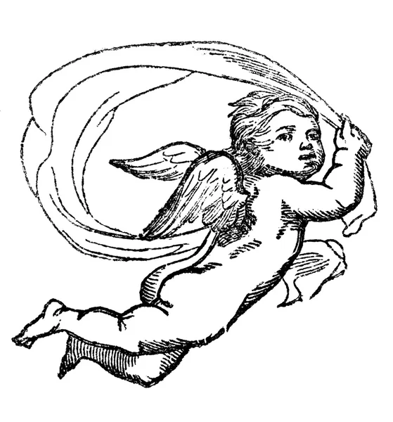 Cute Cherub Angel — Stok fotoğraf