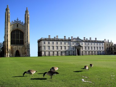 Kings College, Cambridge University clipart
