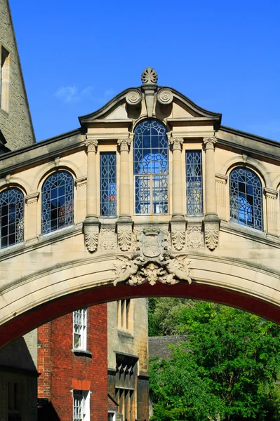 Brug der zuchten Oxford — Stockfoto