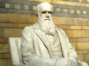 Charles darwin heykeli
