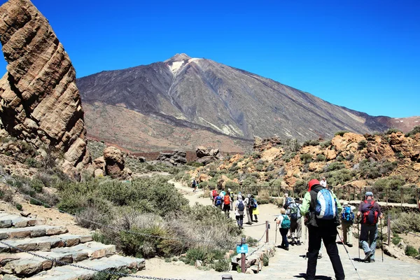 Ramblers hiking at Pico de Teide, Tenerife — Stockfoto