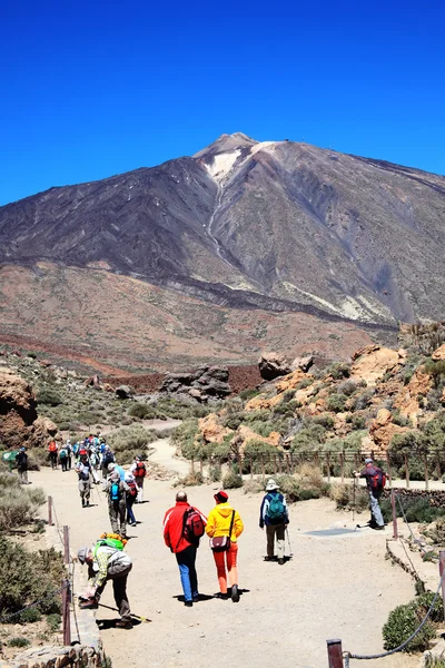 Ramblers hiking at Pico de Teide, Tenerife — Stockfoto