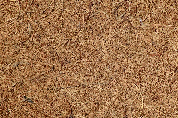 Coconut Matting Background — Stock Photo, Image