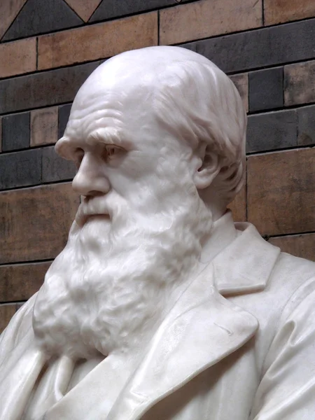 Статуя Чарльза Дарвина — стоковое фото
