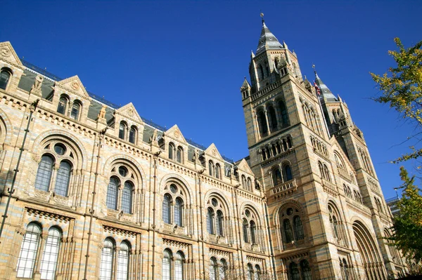 Das Naturkundemuseum — Stockfoto