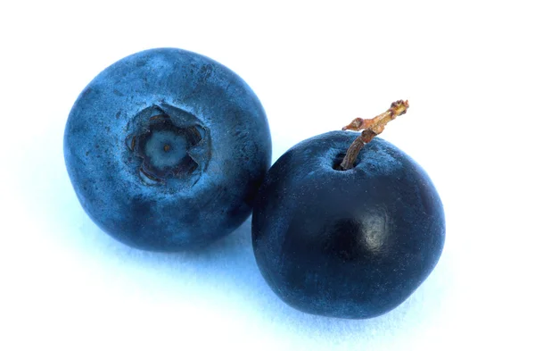 Two blueberries fruits — Stock Photo, Image