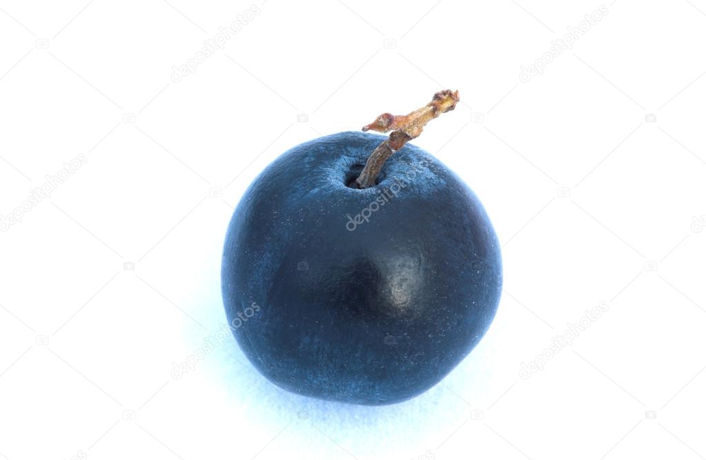 Blueberry on a white background