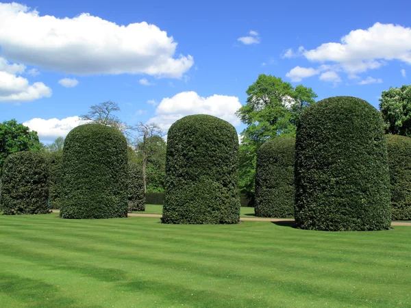 The formal gardens with its topiary of Kensington Palace — Stock fotografie