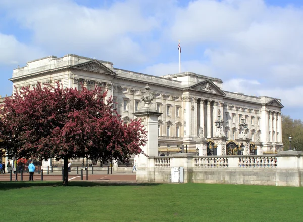 Istana Buckingham, London — Stok Foto