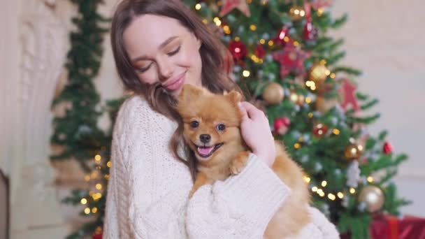 Una joven morena en el fondo de un árbol de Navidad sostiene y abraza a un pequeño perro Spitz rojo y sonríe — Vídeos de Stock